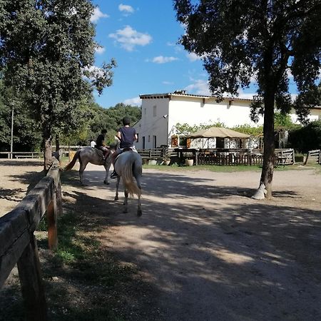 Casa Rural, Can Cirera Seriñá Kültér fotó